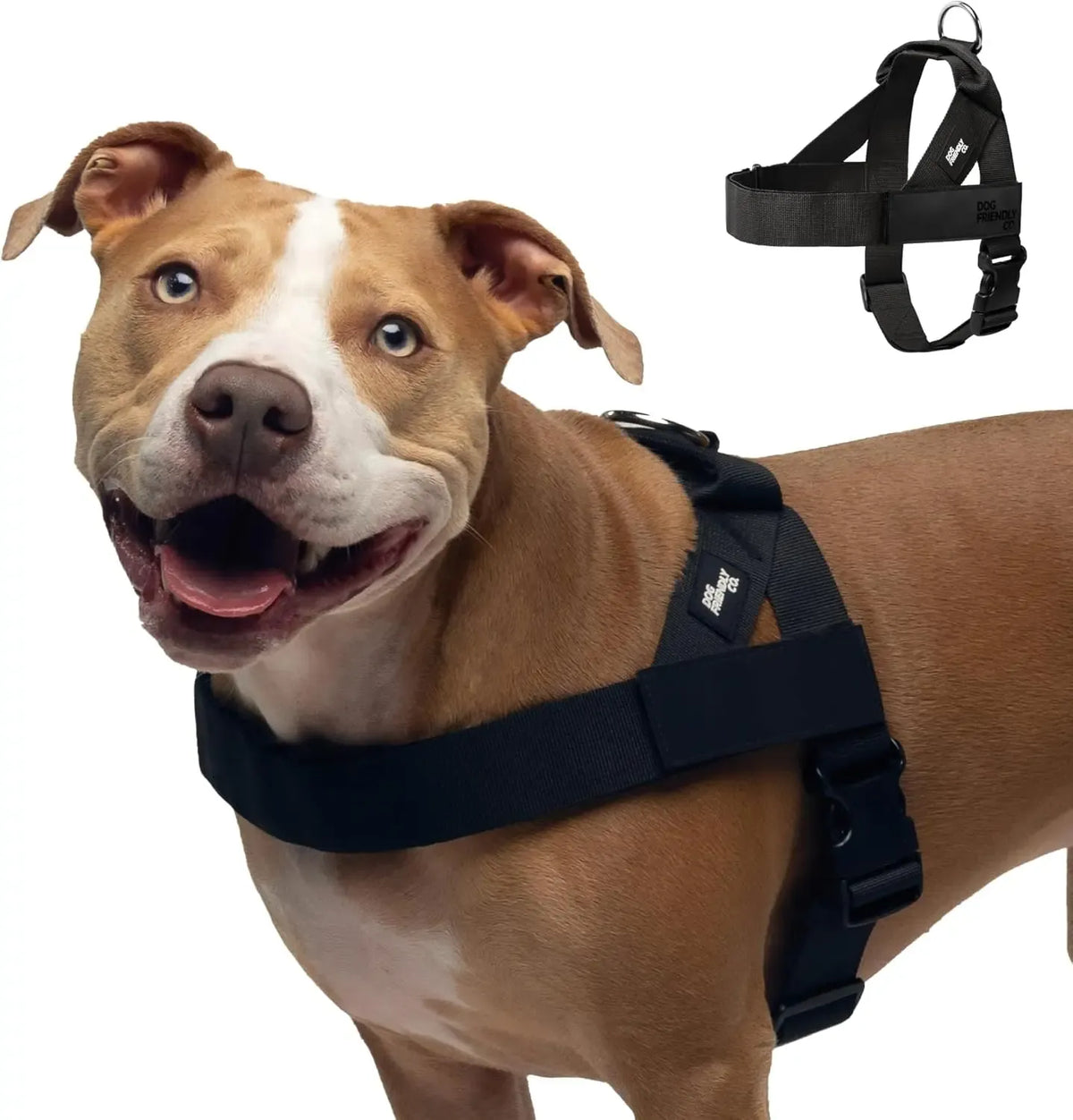 No-Pull Dog Harness – Easy Fit, Safe & Comfortable for All Dogs