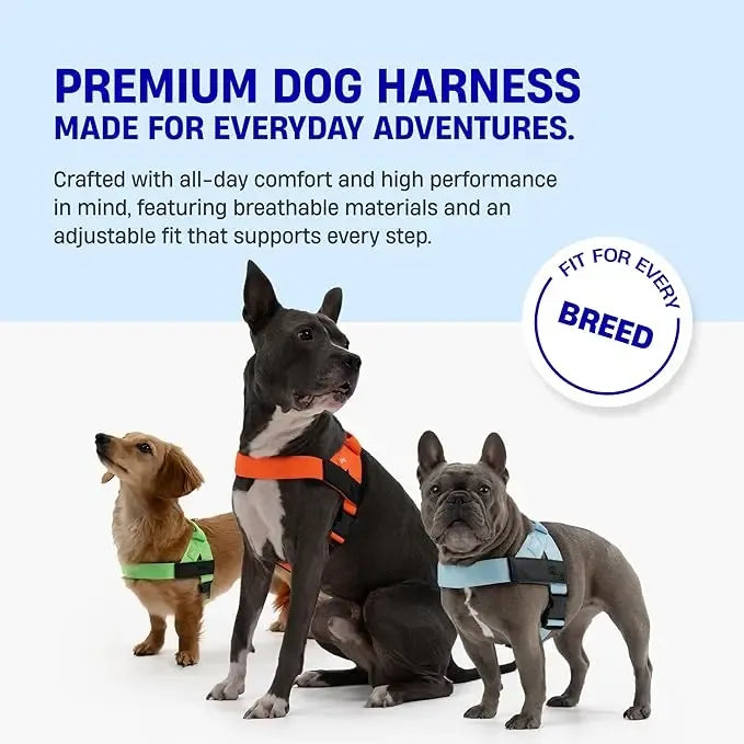 No-Pull Dog Harness – Easy Fit, Safe & Comfortable for All Dogs
