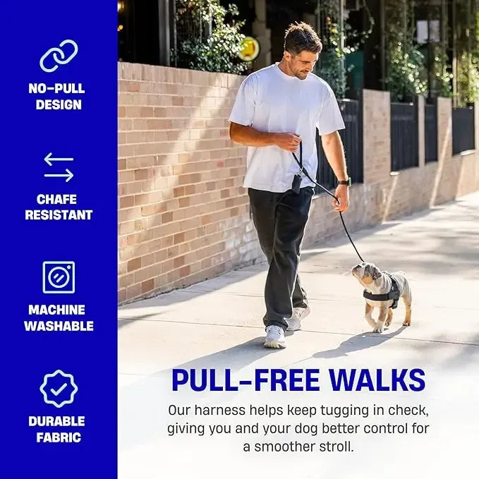 No-Pull Dog Harness – Easy Fit, Safe & Comfortable for All Dogs