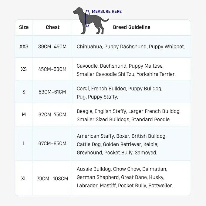 No-Pull Dog Harness – Easy Fit, Safe & Comfortable for All Dogs